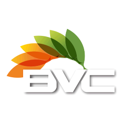 BVC Blinds Cleaning